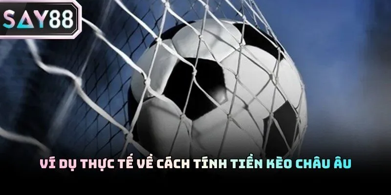 Kèo châu Âu và cách đọc cơ bản dành cho người mới tham gia trải nghiệm