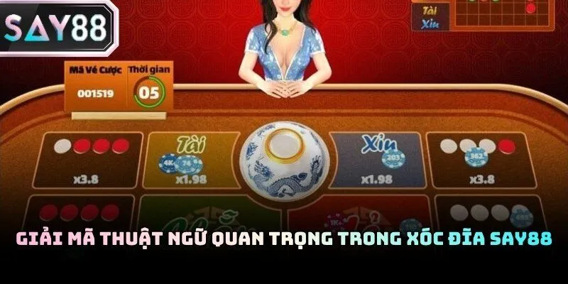 Các cửa đặt cược Xóc đĩa Say88 đa dạng giúp tối ưu hóa lợi nhuận